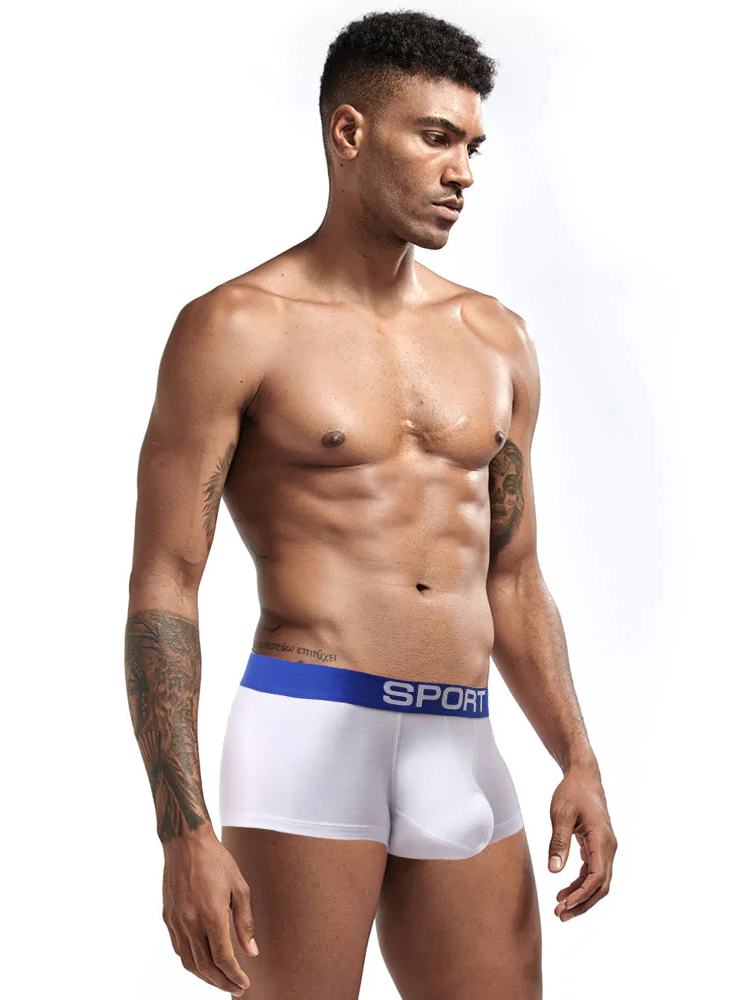 3 Pack Mens Sculpt Bulge Shape Support Pouch Underwear | dmunderwear detail image 3