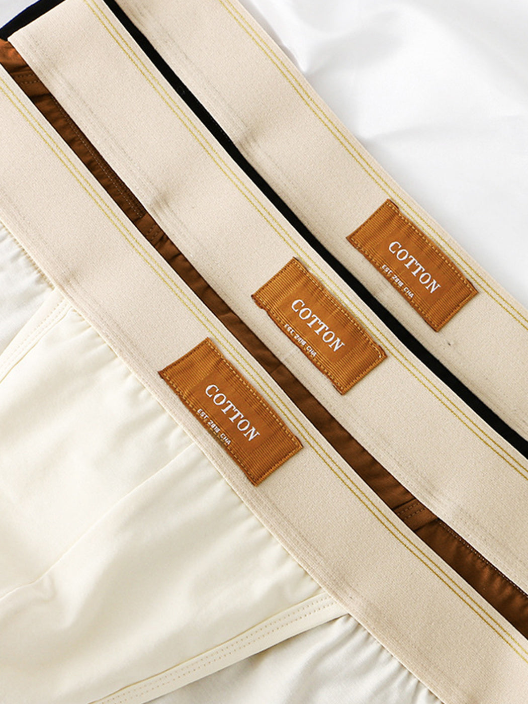 3 Pack Men's Sexy High Cut Cotton Bikini | dmunderwear detail image 5