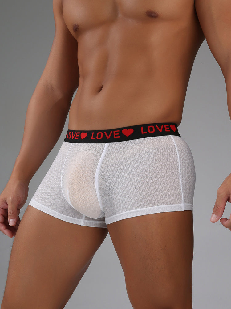 3 Pack Men's Sexy Lace Breathable Comfortable Durable Stretch Silky Touch Trunks | dmunderwear detail image 10