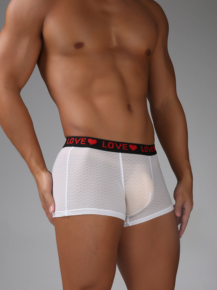 3 Pack Men's Sexy Lace Breathable Comfortable Durable Stretch Silky Touch Trunks | dmunderwear detail image 13
