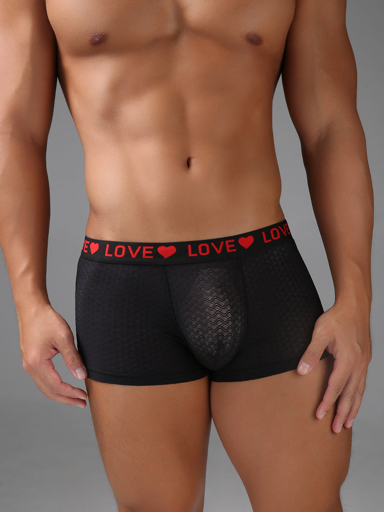 3 Pack Men's Sexy Lace Breathable Comfortable Durable Stretch Silky Touch Trunks | dmunderwear detail image 15