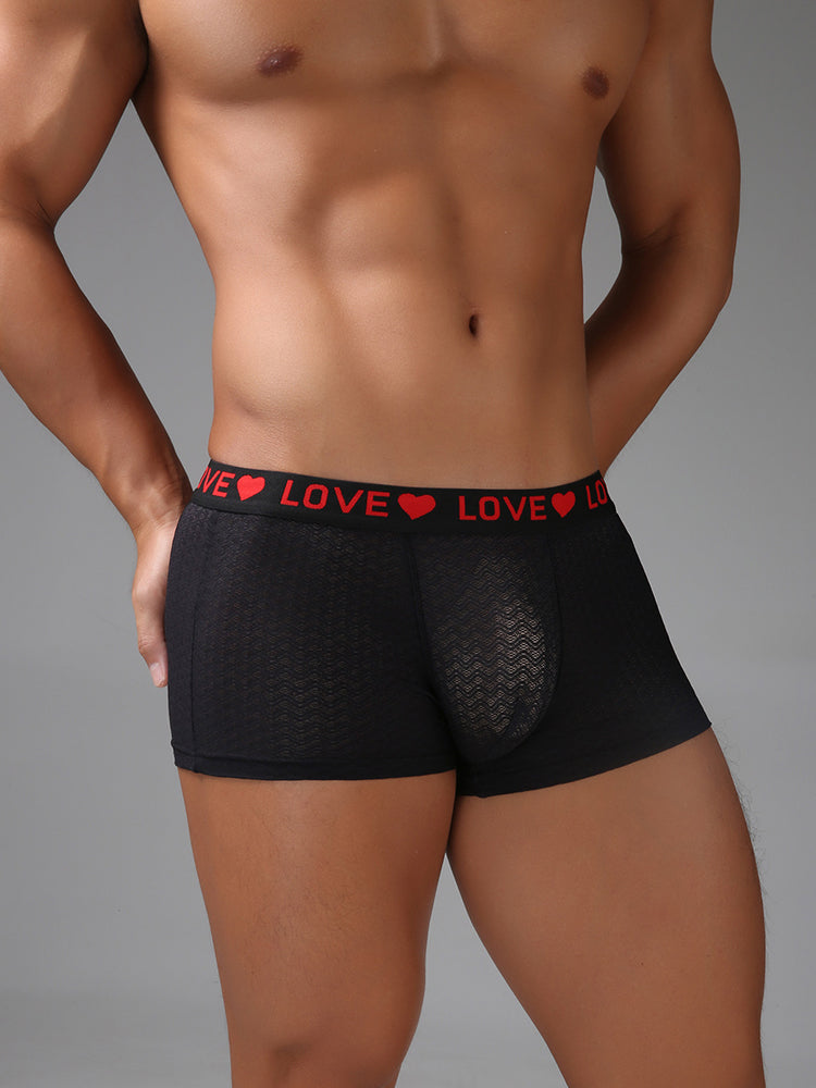 3 Pack Men's Sexy Lace Breathable Comfortable Durable Stretch Silky Touch Trunks | dmunderwear detail image 18