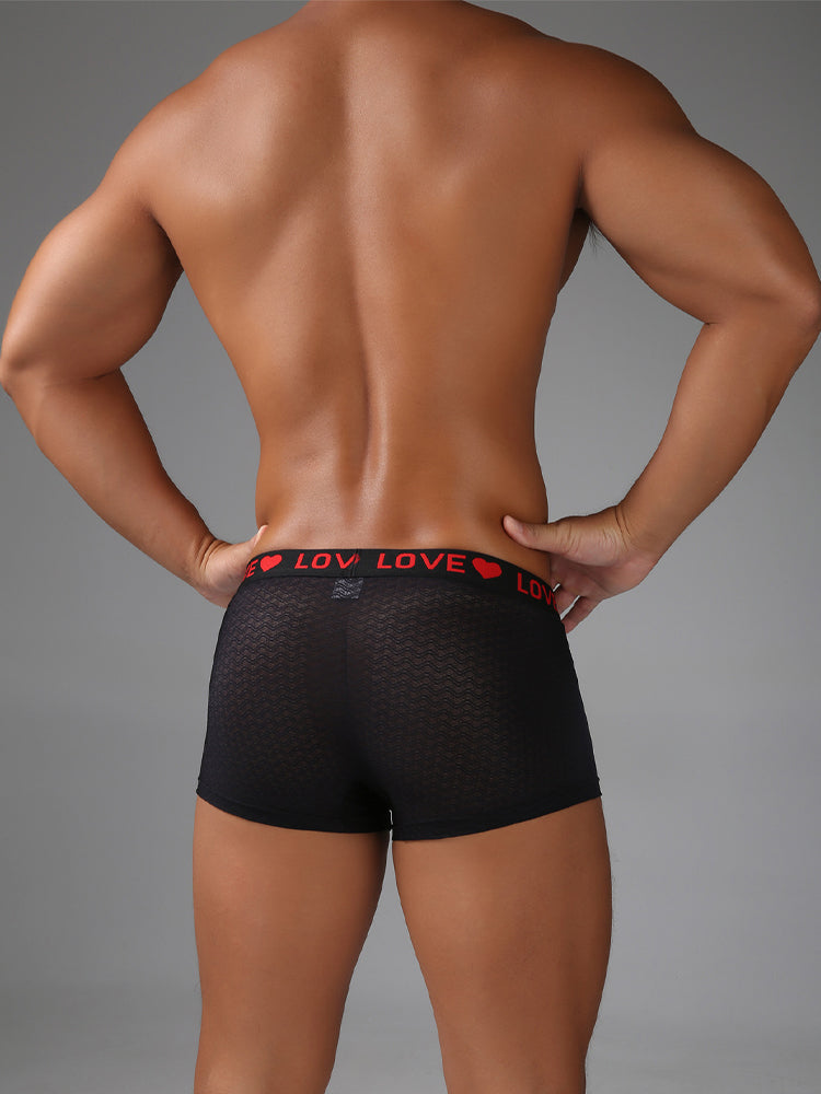 3 Pack Men's Sexy Lace Breathable Comfortable Durable Stretch Silky Touch Trunks | dmunderwear detail image 19