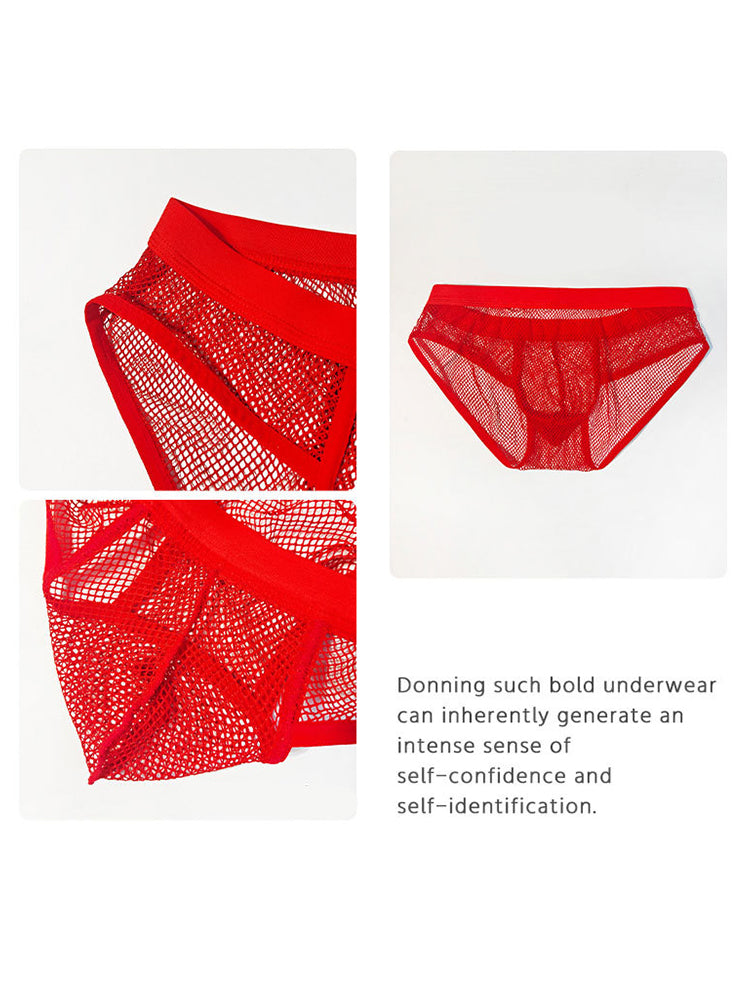 3 Pack Men's Sheer Elegance Mesh Solid Color Low-Rise Stretch Briefs | dmunderwear detail image 6