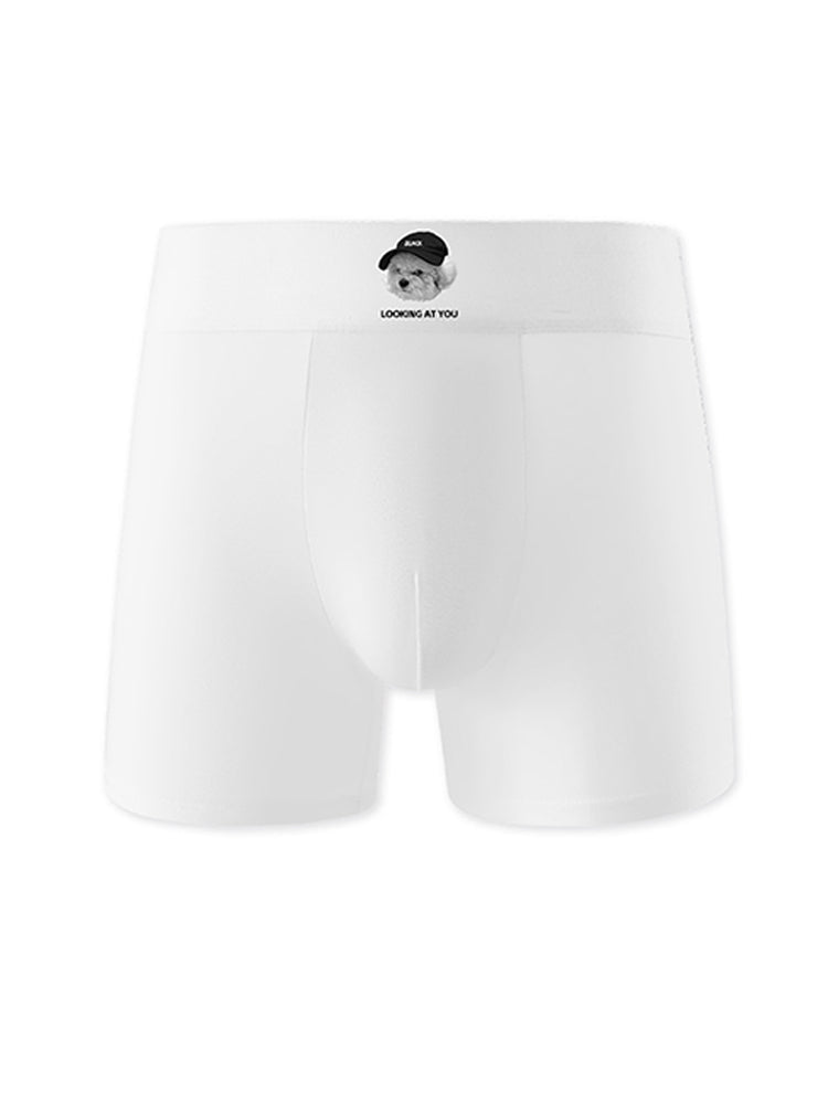 3 Pack Men's Soft Breathable Cotton Broaden Waistband Boxer Briefs | dmunderwear detail image 15