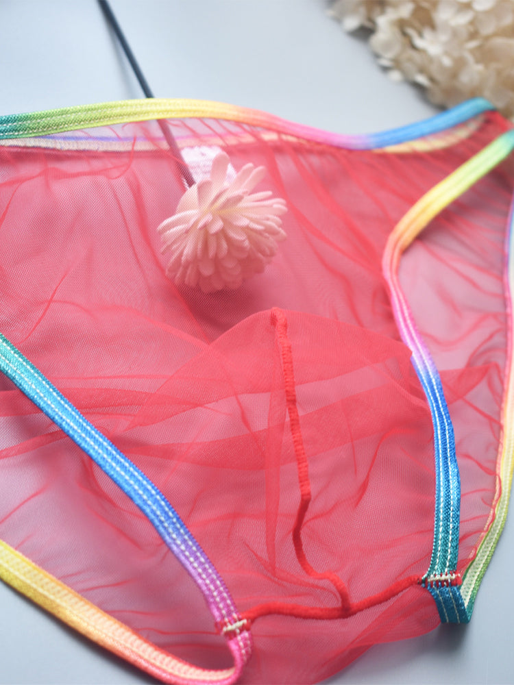 3-pack Men's Ultra-sheer Rainbow-edge Mesh Briefs | dmunderwear detail image 5