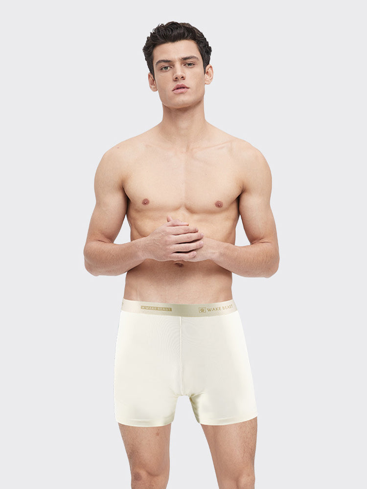3 Pack Men's Ultra-Soft Ice Silk Seamless Comfort Stretch Boxers Briefs | dmunderwear