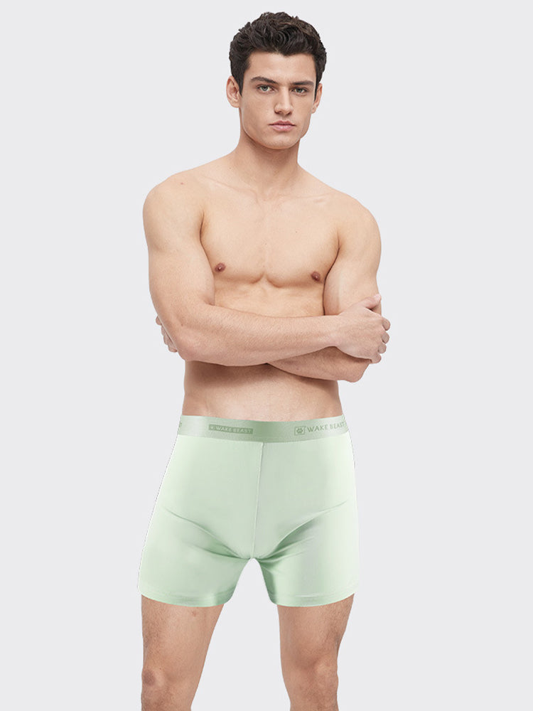 3 Pack Men's Ultra-Soft Ice Silk Seamless Comfort Stretch Boxers Briefs | dmunderwear detail image 10