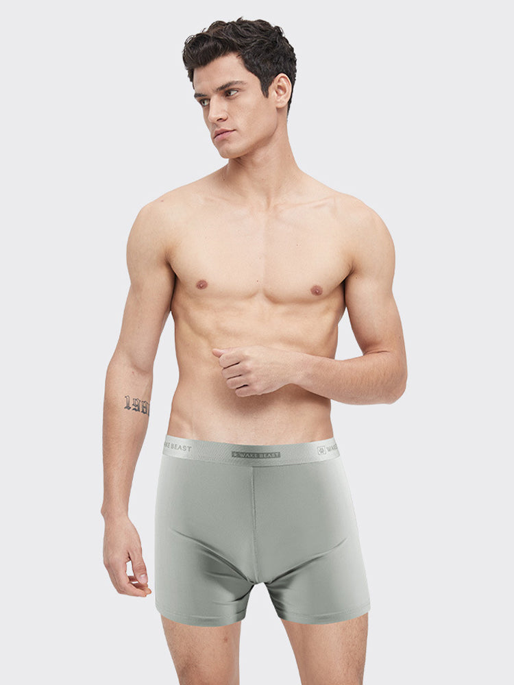3 Pack Men's Ultra-Soft Ice Silk Seamless Comfort Stretch Boxers Briefs | dmunderwear detail image 11