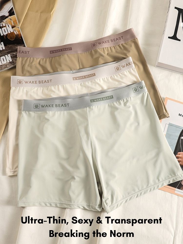 3 Pack Men's Ultra-Soft Ice Silk Seamless Comfort Stretch Boxers Briefs | dmunderwear detail image 5