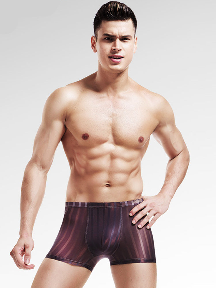 3 Pack See Through Breathable Men's Underwear | dmunderwear detail image 4