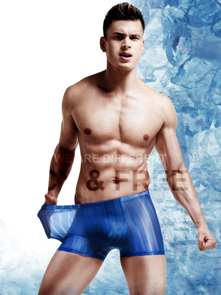 3 Pack See Through Breathable Men's Underwear | dmunderwear detail image 9