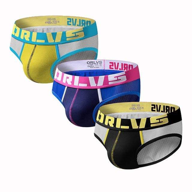 3 Pack Trendy Mesh Briefs | dmunderwear detail image 2