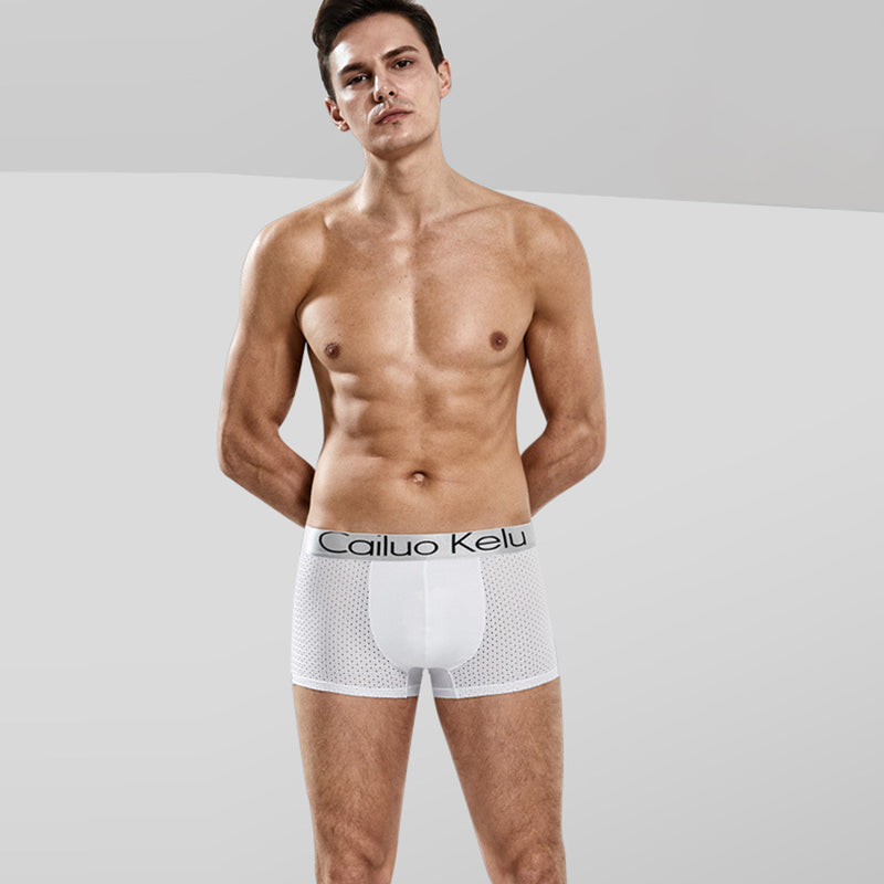 3 Pcs Men's Mesh Breathable Ice Silk Boxer Briefs | dmunderwear detail image 11