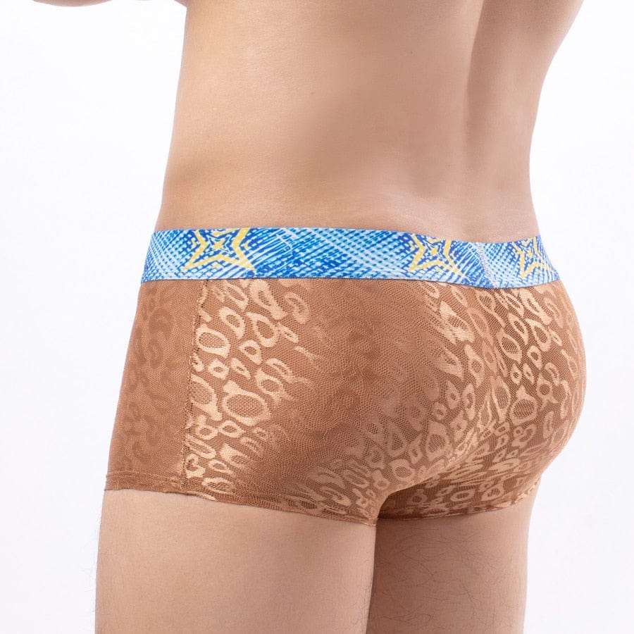 4 Pack Bold Leopard Lace Trunks | dmunderwear detail image 2