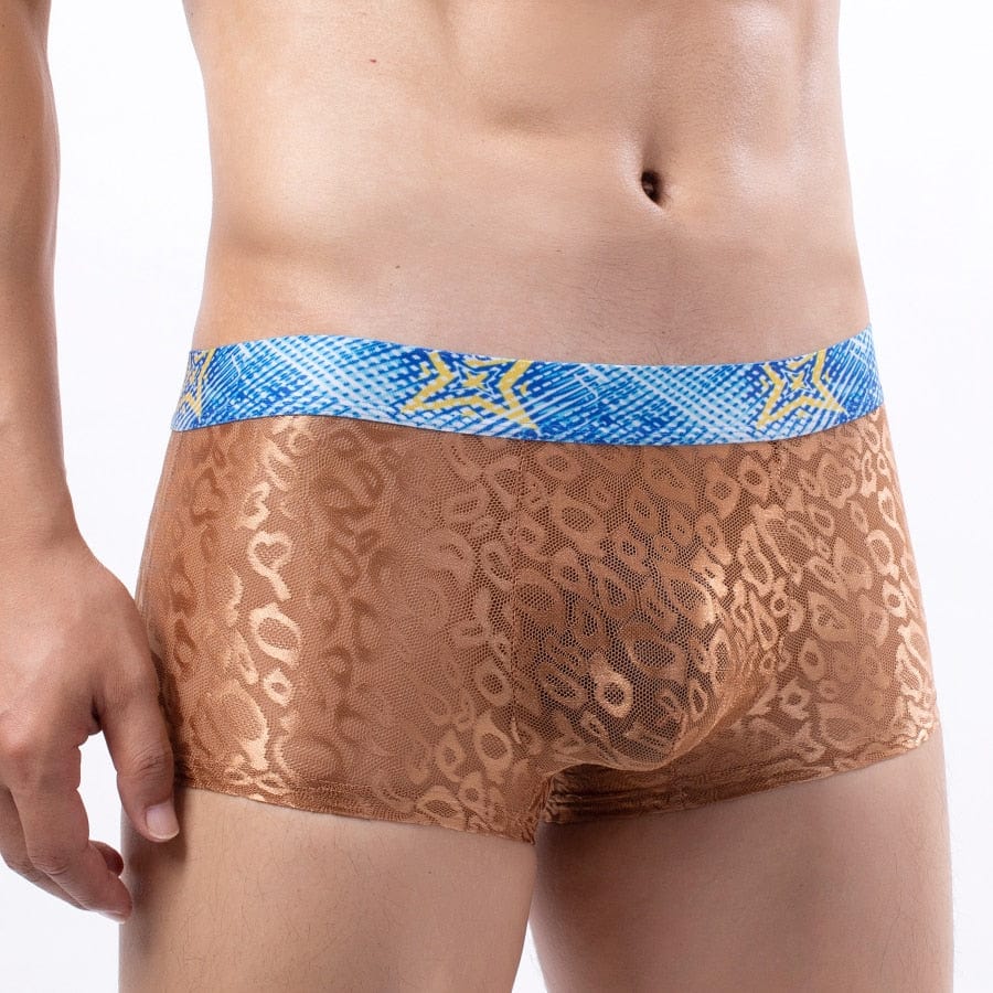 4 Pack Bold Leopard Lace Trunks | dmunderwear detail image 3