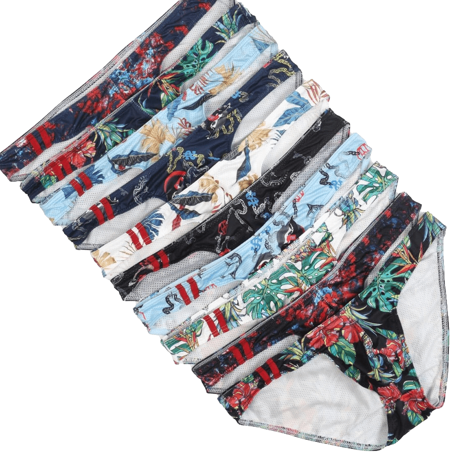 4 Pack Eclectic Bikini Briefs | dmunderwear