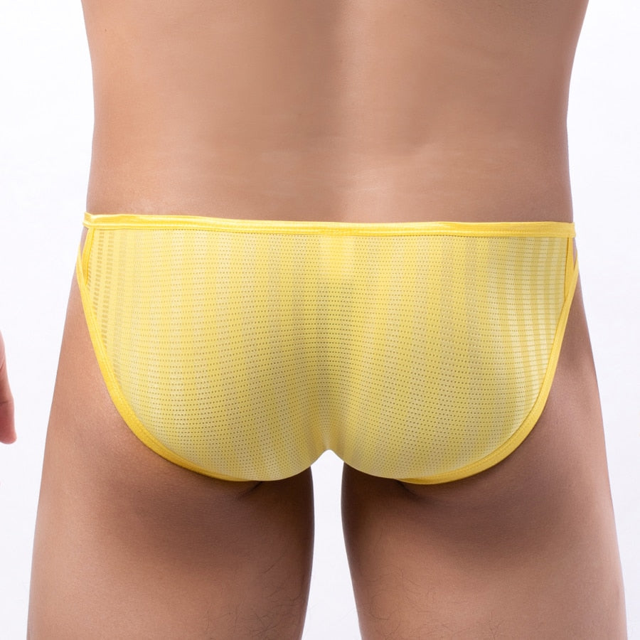 4 Pack Cameo Bikini | dmunderwear detail image 5