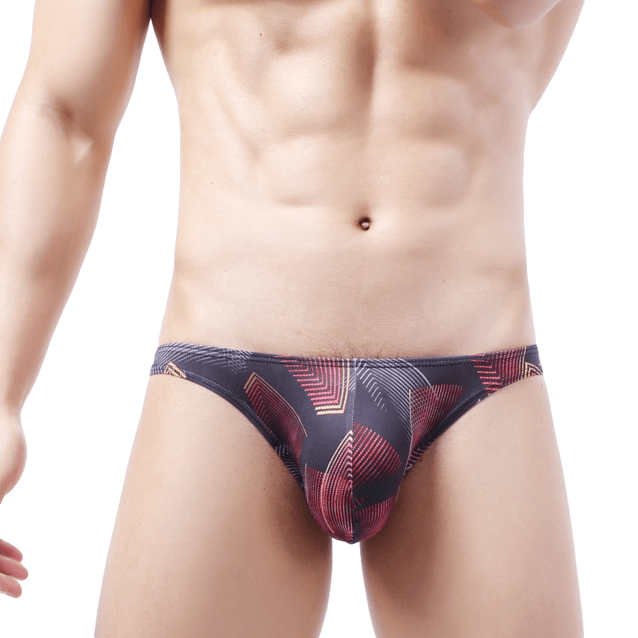 4 Pack Fab Bikini Briefs | dmunderwear detail image 7
