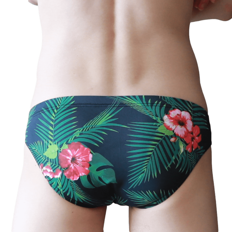 4 Pack Fun Pop Bikini Briefs | dmunderwear detail image 3