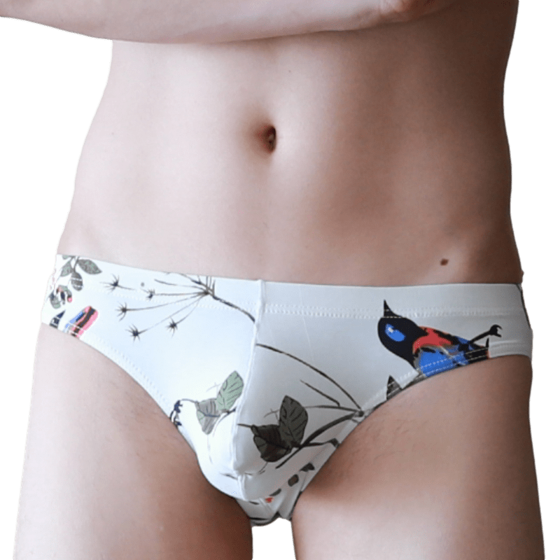 4 Pack Fun Pop Bikini Briefs | dmunderwear detail image 5