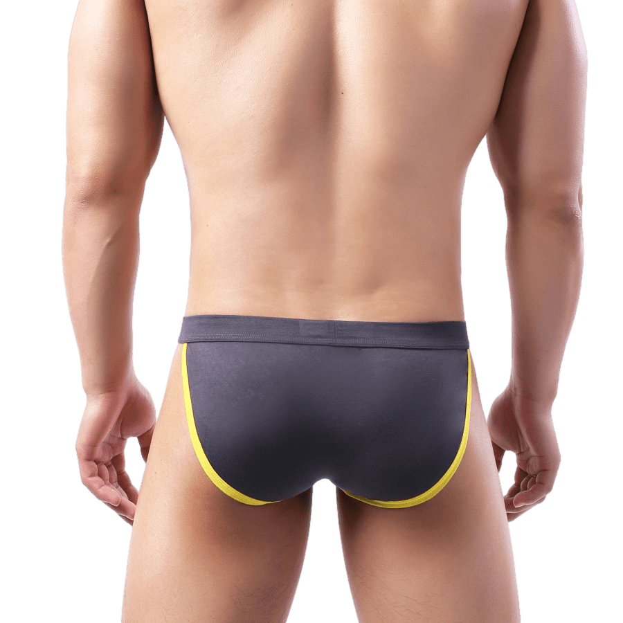 4 Pack Irresistible Tanga Briefs | dmunderwear detail image 11