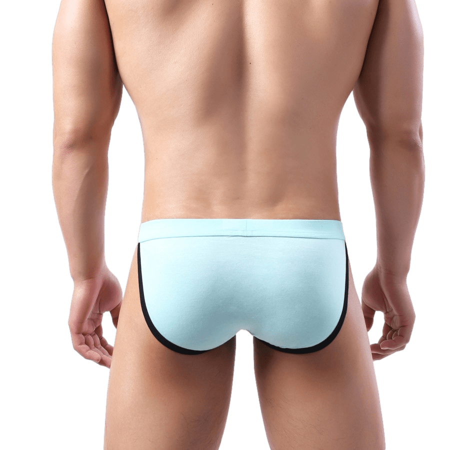 4 Pack Irresistible Tanga Briefs | dmunderwear detail image 13