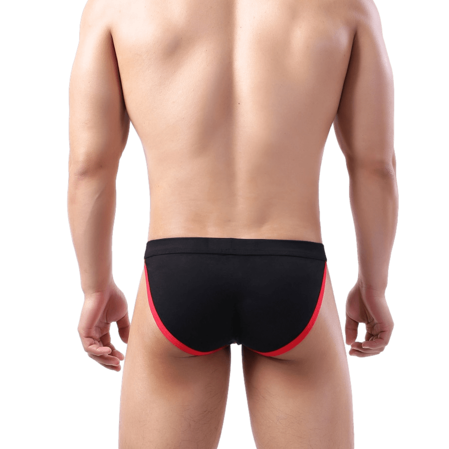 4 Pack Irresistible Tanga Briefs | dmunderwear detail image 5