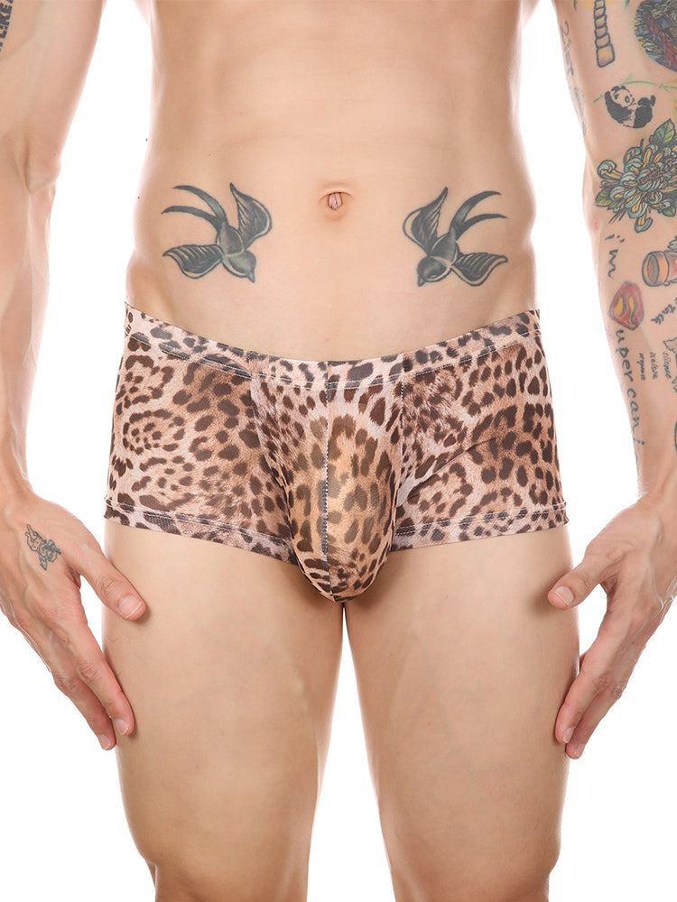 4 Pack Leopard Print See-through Mesh Trunks | dmunderwear