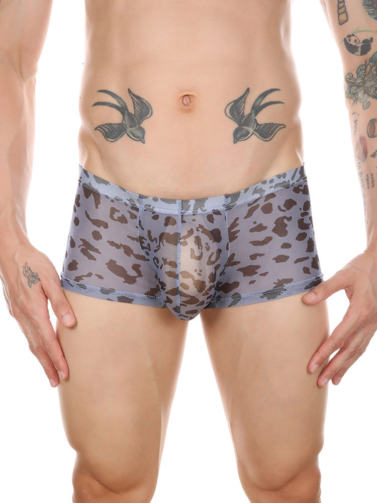 4 Pack Leopard Print See-through Mesh Trunks | dmunderwear detail image 10