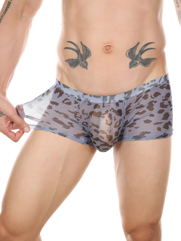 4 Pack Leopard Print See-through Mesh Trunks | dmunderwear detail image 12