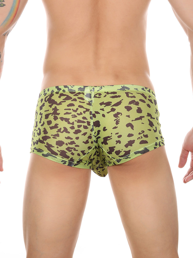 4 Pack Leopard Print See-through Mesh Trunks | dmunderwear detail image 17