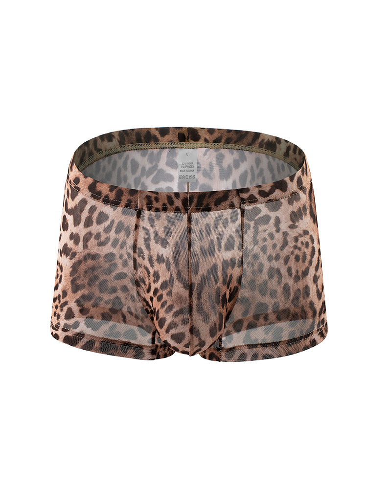 4 Pack Leopard Print See-through Mesh Trunks | dmunderwear detail image 19
