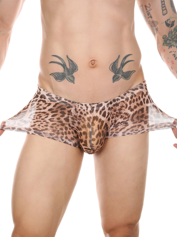4 Pack Leopard Print See-through Mesh Trunks | dmunderwear detail image 4