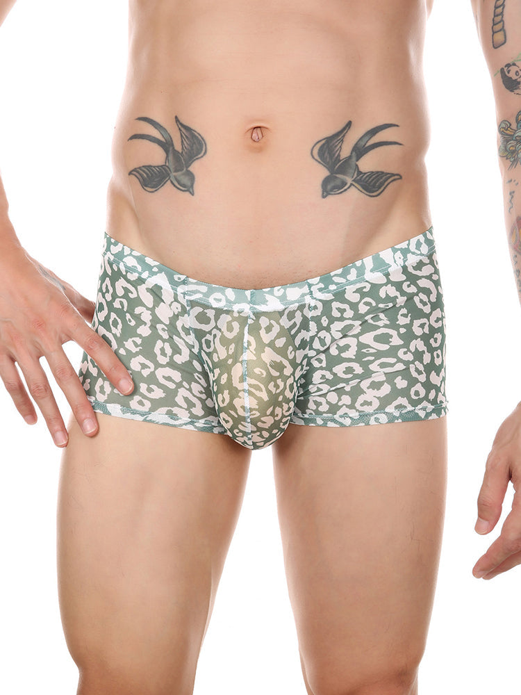 4 Pack Leopard Print See-through Mesh Trunks | dmunderwear detail image 5