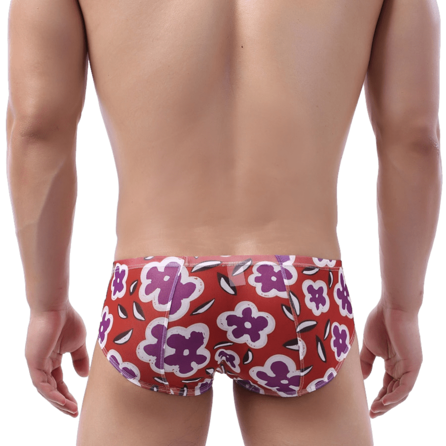 4 Pack Loud Briefs | dmunderwear detail image 11