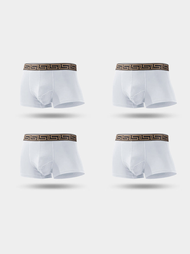 4 Pack Men's Athletic Mesh Pouch Trunks | dmunderwear detail image 14
