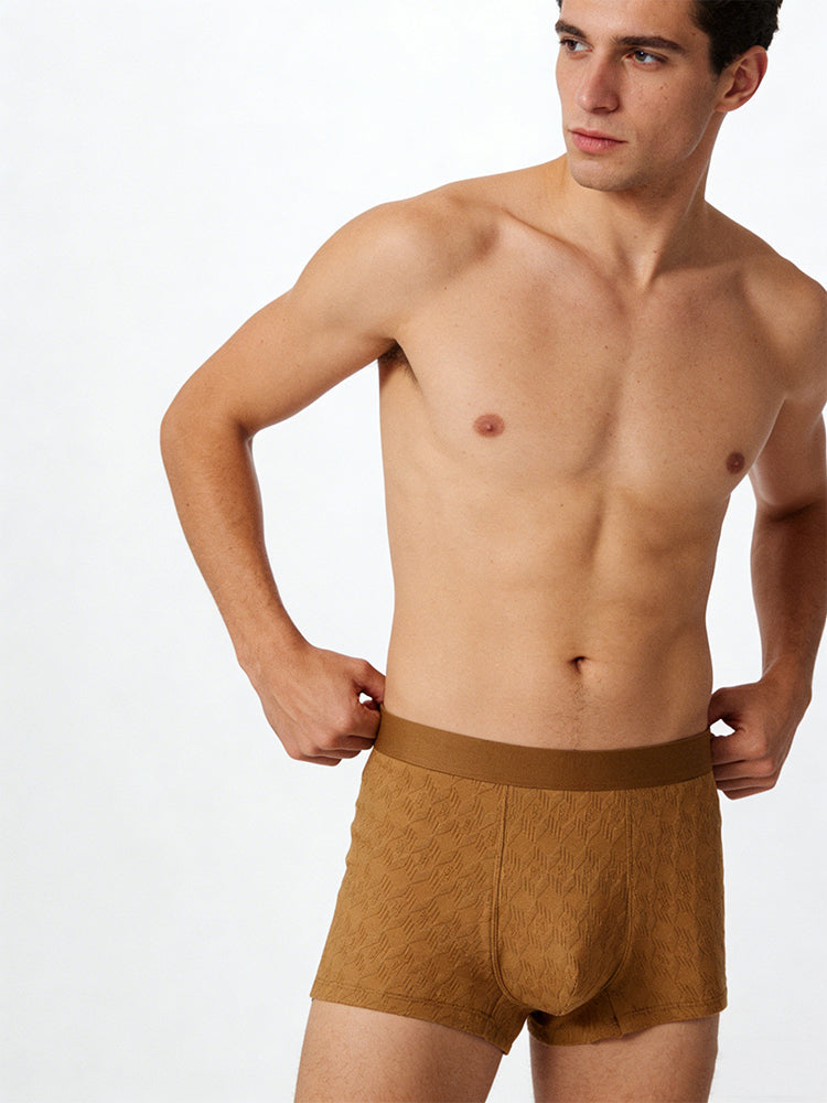 4 Pack Men's Antibacterial Cotton Jacquard Breathable Solid Color Trunks | dmunderwear detail image 3