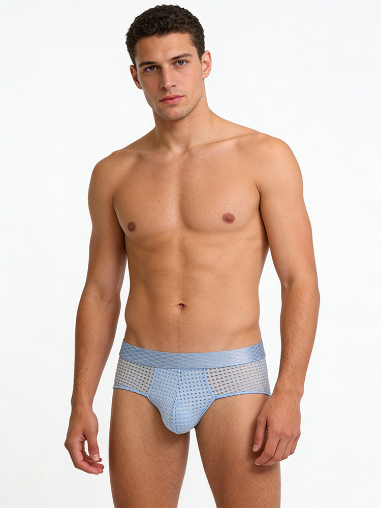 4 Pack Men's Breathable Mesh Solid Sheer & Sexy Wide Waistband Briefs | dmunderwear