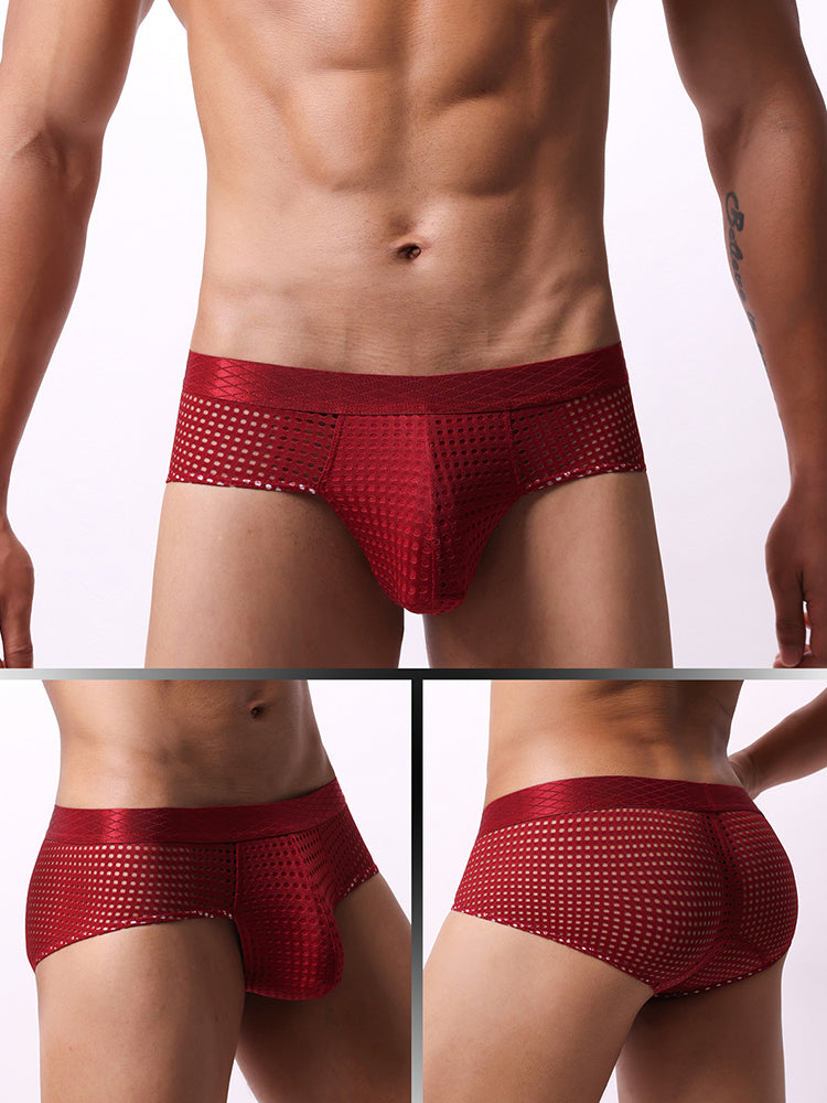 4 Pack Men's Breathable Mesh Solid Sheer & Sexy Wide Waistband Briefs | dmunderwear detail image 15