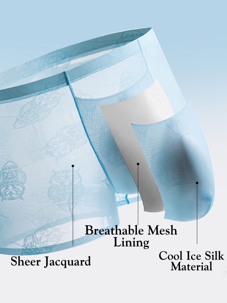 4 Pack Men's Ice Silk Antibacterial Mid-Rise Seamless Comfort Trunks | dmunderwear detail image 4