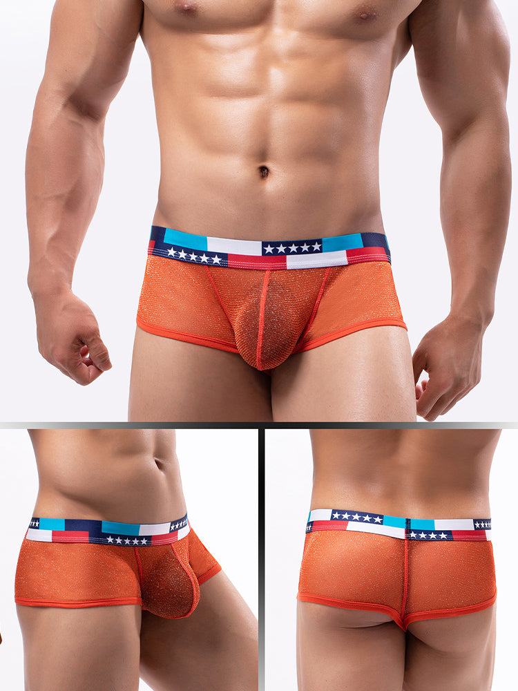4-pack Men's Low-rise See-through Micro-mesh Pouch Shiny U-convex Wide-edge Boxer Briefs | dmunderwear detail image 10