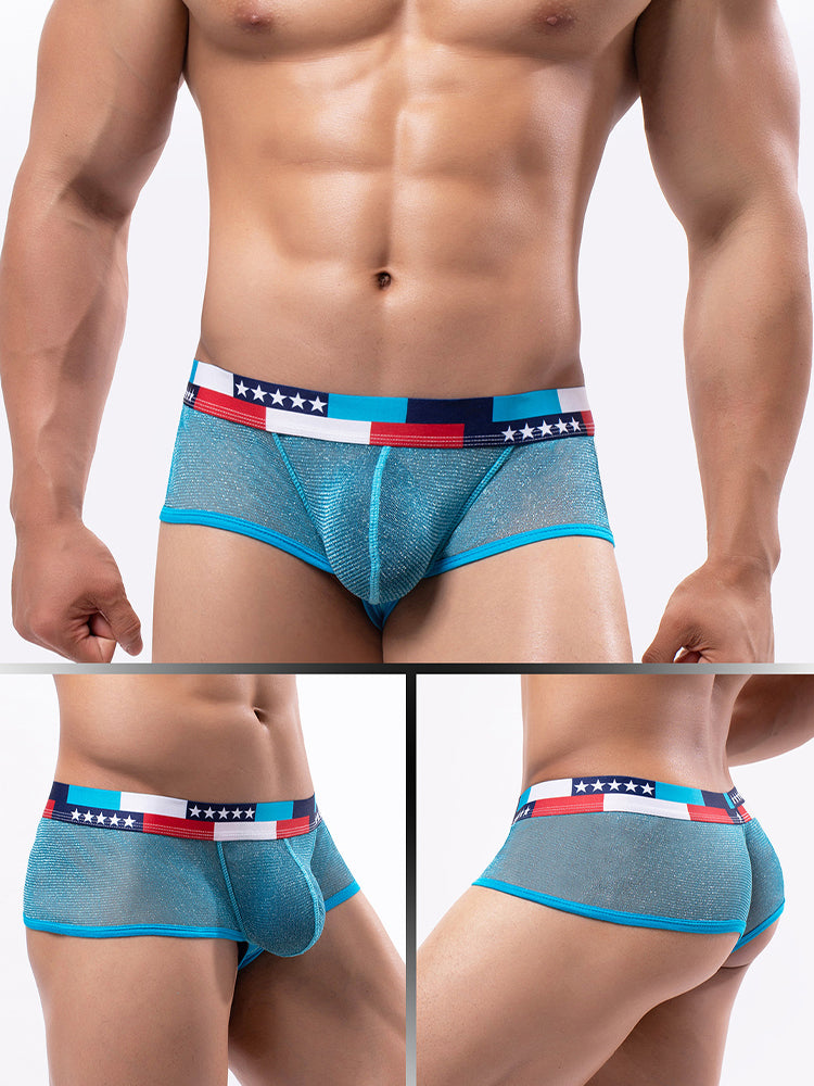 4-pack Men's Low-rise See-through Micro-mesh Pouch Shiny U-convex Wide-edge Boxer Briefs | dmunderwear detail image 13