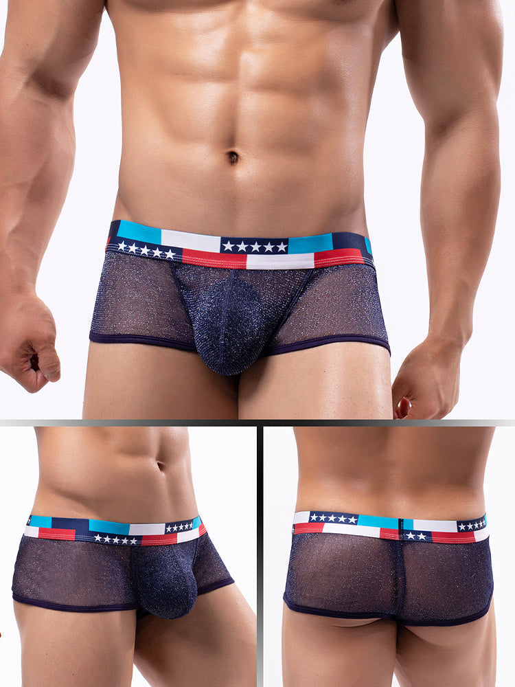 4-pack Men's Low-rise See-through Micro-mesh Pouch Shiny U-convex Wide-edge Boxer Briefs | dmunderwear detail image 14