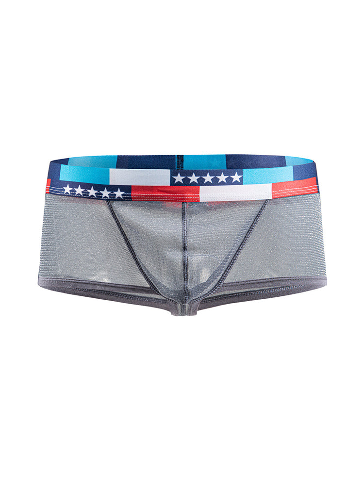 4-pack Men's Low-rise See-through Micro-mesh Pouch Shiny U-convex Wide-edge Boxer Briefs | dmunderwear detail image 15