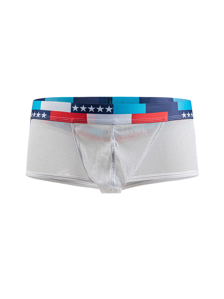 4-pack Men's Low-rise See-through Micro-mesh Pouch Shiny U-convex Wide-edge Boxer Briefs | dmunderwear detail image 16