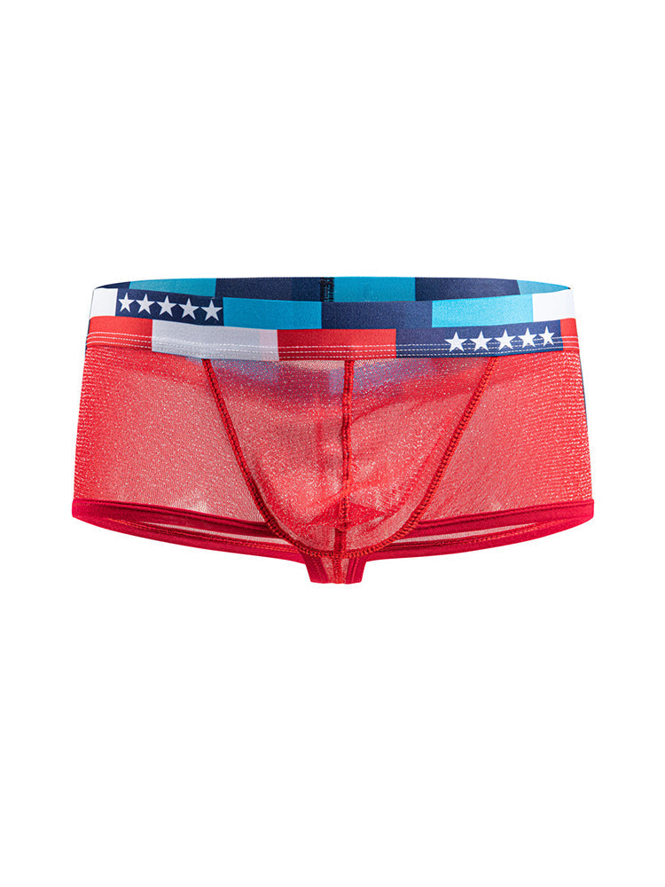 4-pack Men's Low-rise See-through Micro-mesh Pouch Shiny U-convex Wide-edge Boxer Briefs | dmunderwear detail image 18
