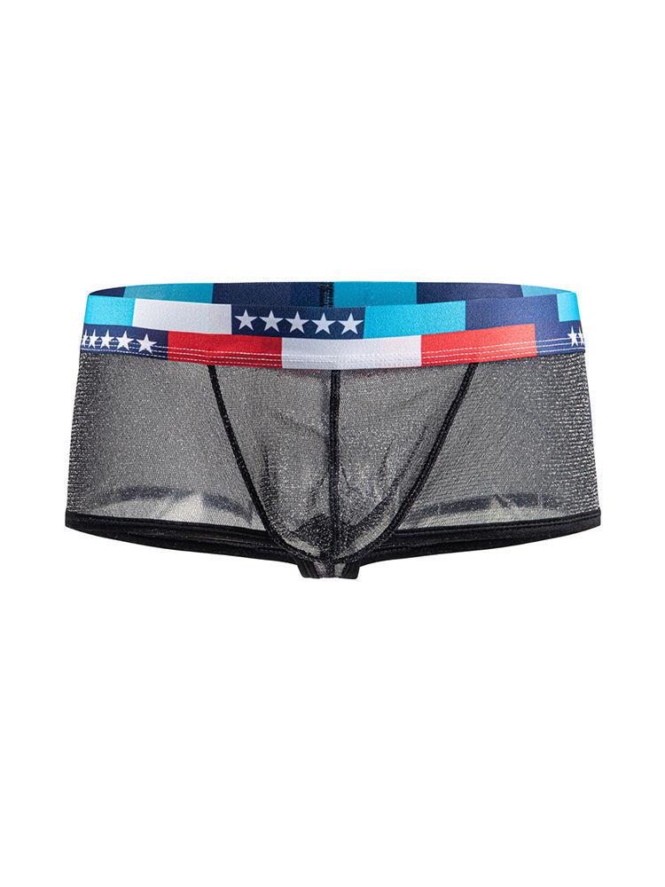 4-pack Men's Low-rise See-through Micro-mesh Pouch Shiny U-convex Wide-edge Boxer Briefs | dmunderwear detail image 19