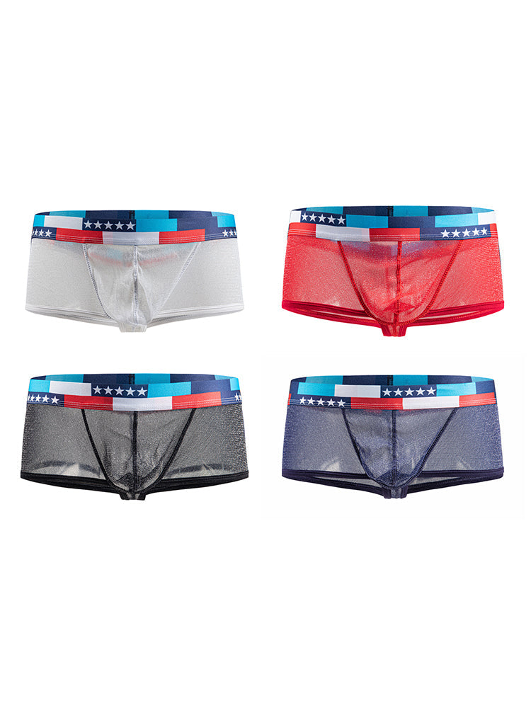 4-pack Men's Low-rise See-through Micro-mesh Pouch Shiny U-convex Wide-edge Boxer Briefs | dmunderwear detail image 2