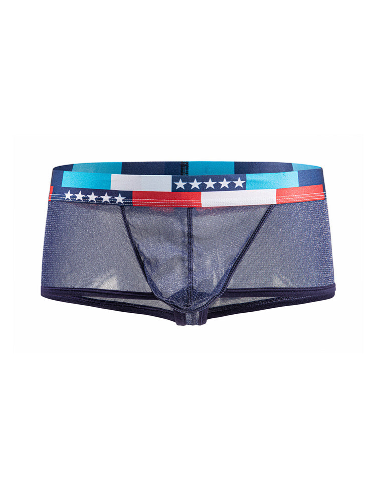 4-pack Men's Low-rise See-through Micro-mesh Pouch Shiny U-convex Wide-edge Boxer Briefs | dmunderwear detail image 20